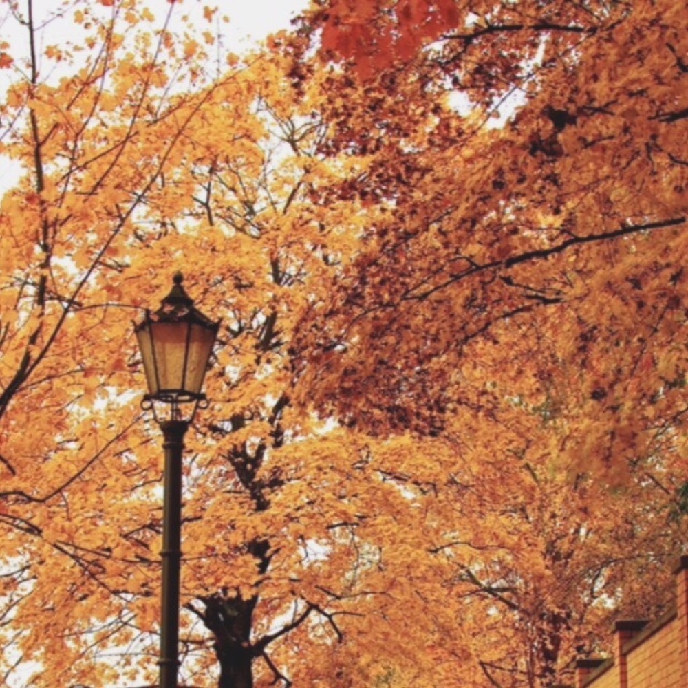 Meet your Posher, Ceccecily